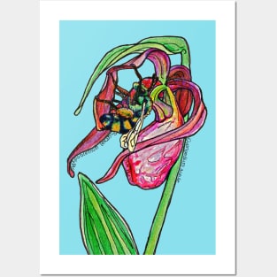 Pink Lady's Slipper Posters and Art